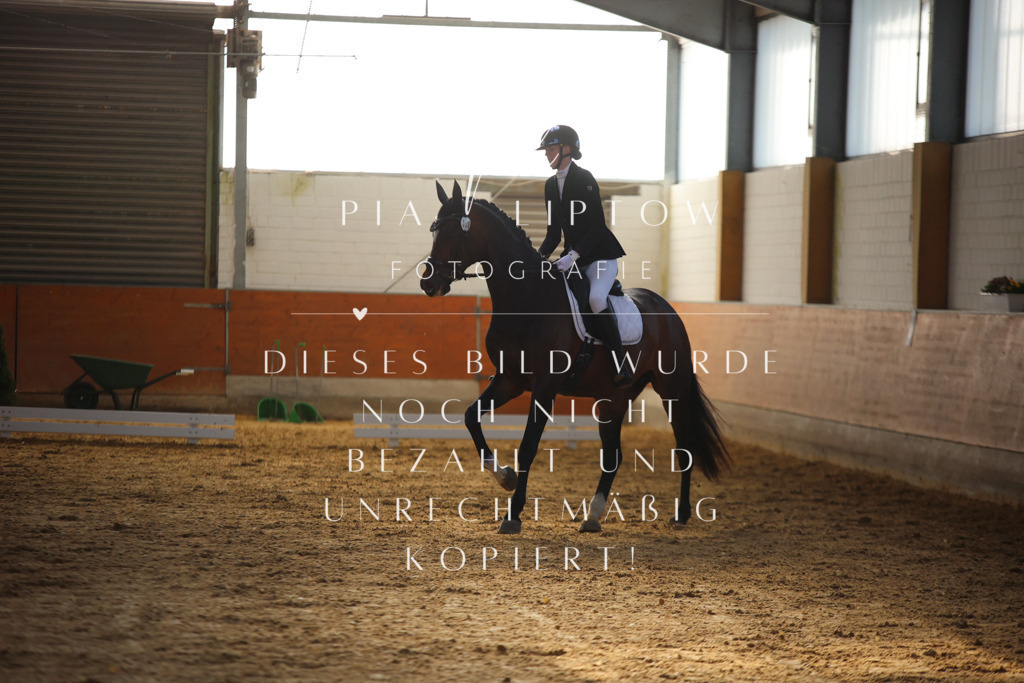 IMGT6277 | pl-fotografie