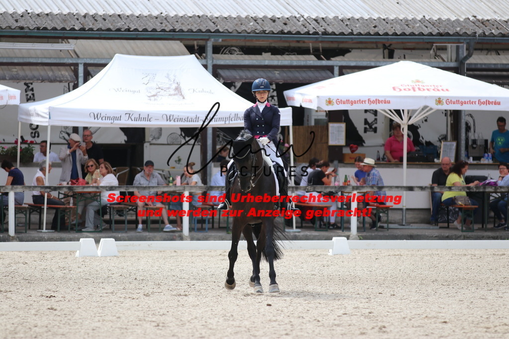 IMG_1631 | lmwpictures - Realisiert mit Pictrs.com