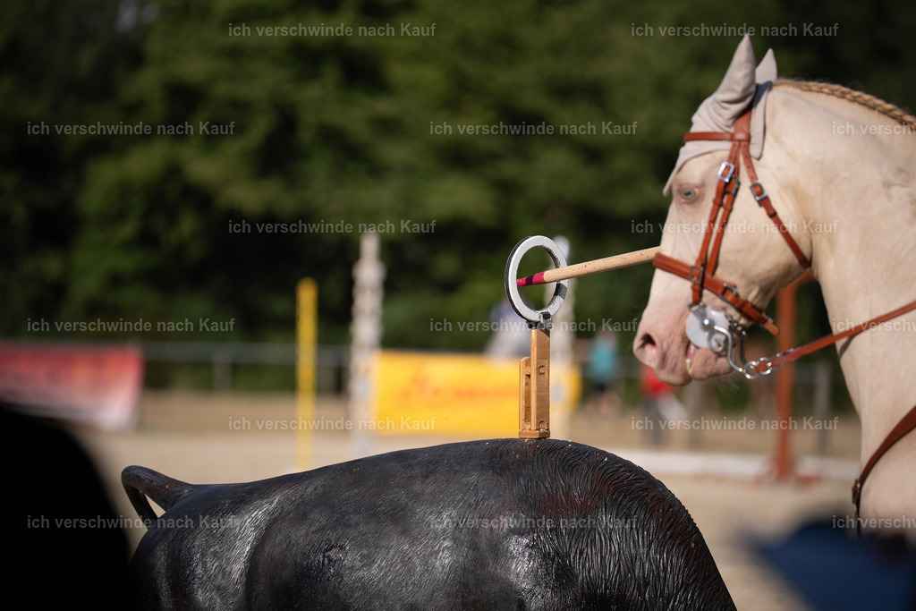 WS_SP_65_Stoibphotography_SO12096 | working equitationturnier fotograf videograf stoibphotography marixx film working equitation deutschland reitsport turnierfotografie eventfotografie equestrian events