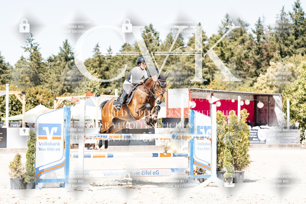 CK901008 | Turnierfotografie Pferdefotografie Trier Rheinland-Pfalz Pferdesport Reitsport Tierfotografie Sportfotografie Pferdevideo Pferdevideografie Equestrianvideography equestrianphotography  - Realisiert mit Pictrs.com