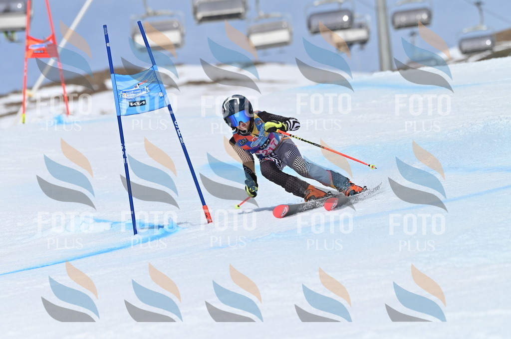 BGV_1259 | holidayphoto