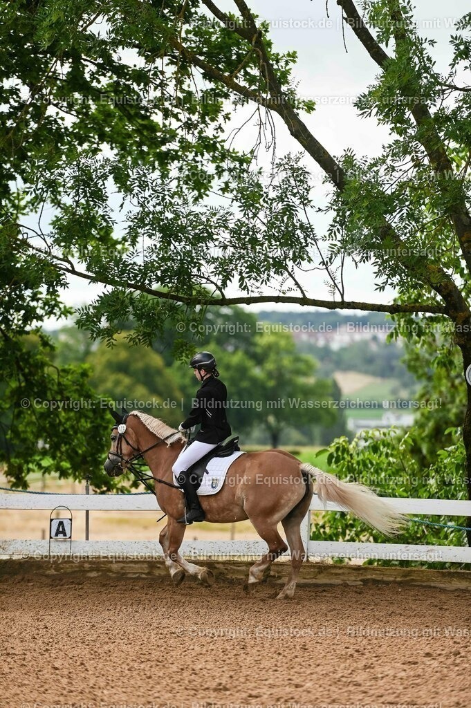 20230716_10-1_Reiter-WB Schritt - Trab - Galopp_0206 | equistock