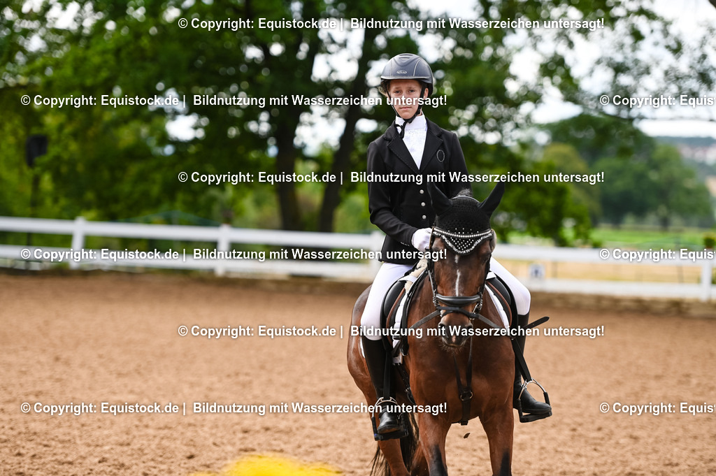 20230716_10-2_Reiter-WB Schritt - Trab - Galopp_0102 | equistock