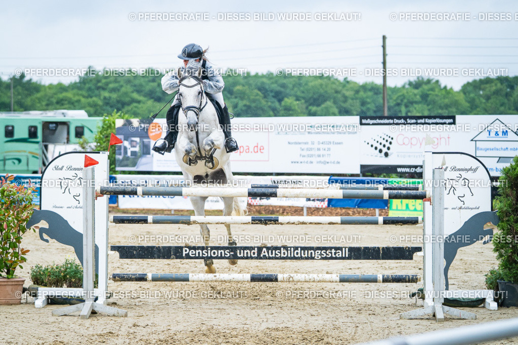 DSC00473 | Pferdegrafie