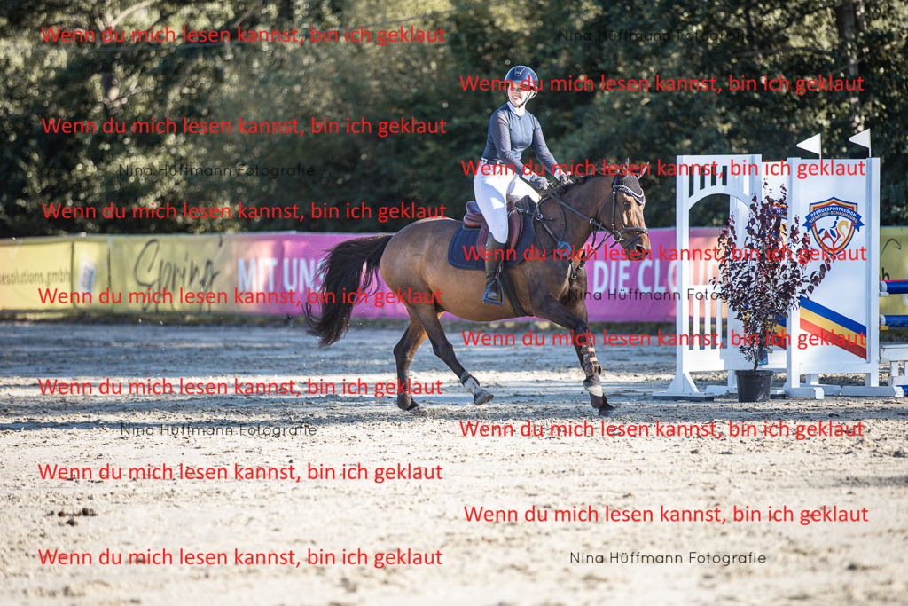 BK1A7838 | Turnierbilder Turnierfotos Nina Hüffmann Turnierfotografie Pferdefotografie Tierzeichnung Haustierzeichnung Pferdezeichnung Hundezeichnung Videograf  - Realisiert mit Pictrs.com