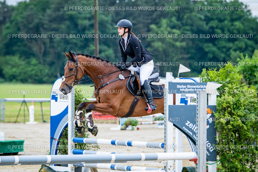 DSC00968 | Pferdegrafie