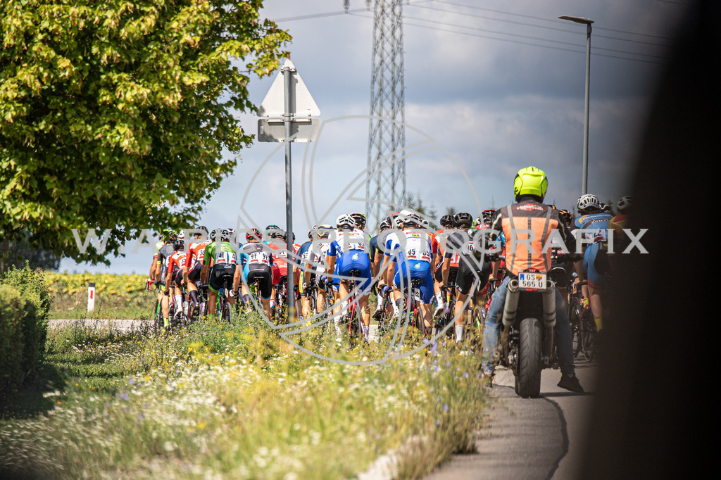 Roadcycling Nationals 2020 | Mattersburg, AUSTRIA,23.AUG.20 - Roadcycling Nationals 2020 - Image shows Peloton. 
Photo: SMP/Andreas Willdoner