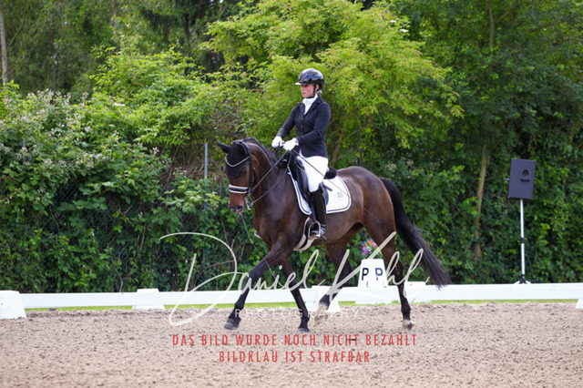 DKP40882 | Turnierfotos kaufen im Webshop von Daniel Kuhl Photography – entdecke professionelle Reitsportfotos aus Turnieren & Events. Hochwertige Turnierbilder online bestellen & sichern. Jetzt Fotos von Reitsportturnieren kaufen!