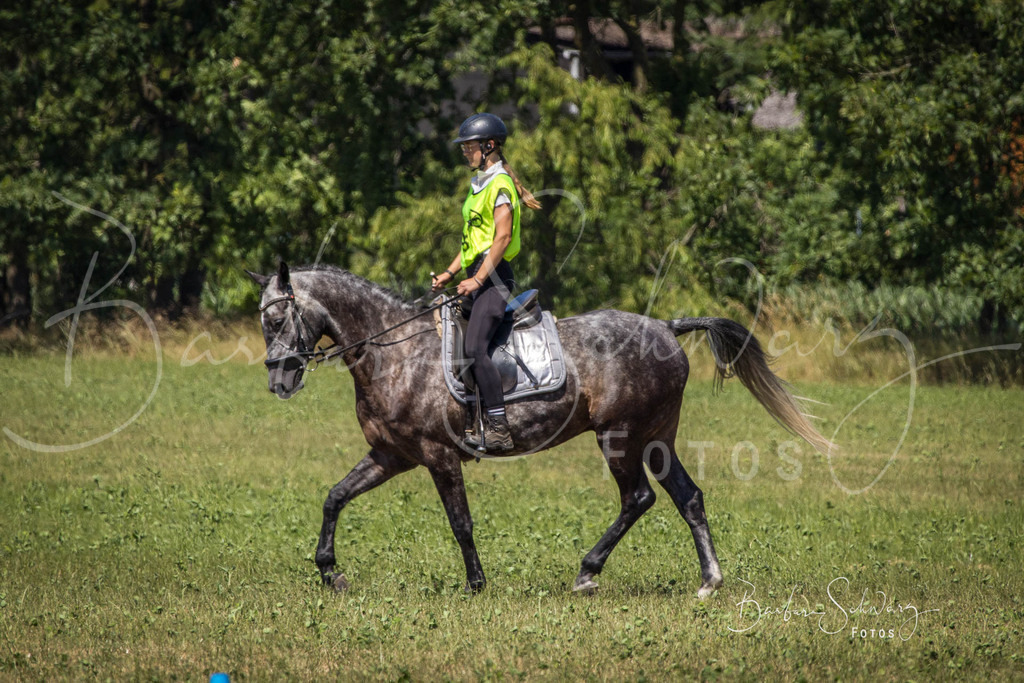 CJP_2026-06-26_55 | Stimmungsvolle Fotografie von Pferden, fotografische Begleitung von Veranstaltungen, Golfturnieren und Distanzritten - Realisiert mit Pictrs.com