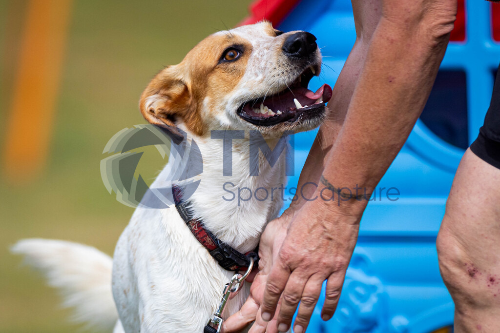 TP-20240815-0120 | Copyright: Trainproduction / Matthias Trinkl