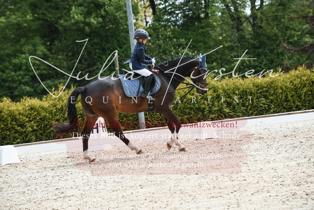 20230518_JK-Röhrsdorf-11-0238 | Pferde- und Turnierfotografie in Westsachsen. Pferdeportraits, Auftragszeichnungen und intuitive Kunst.