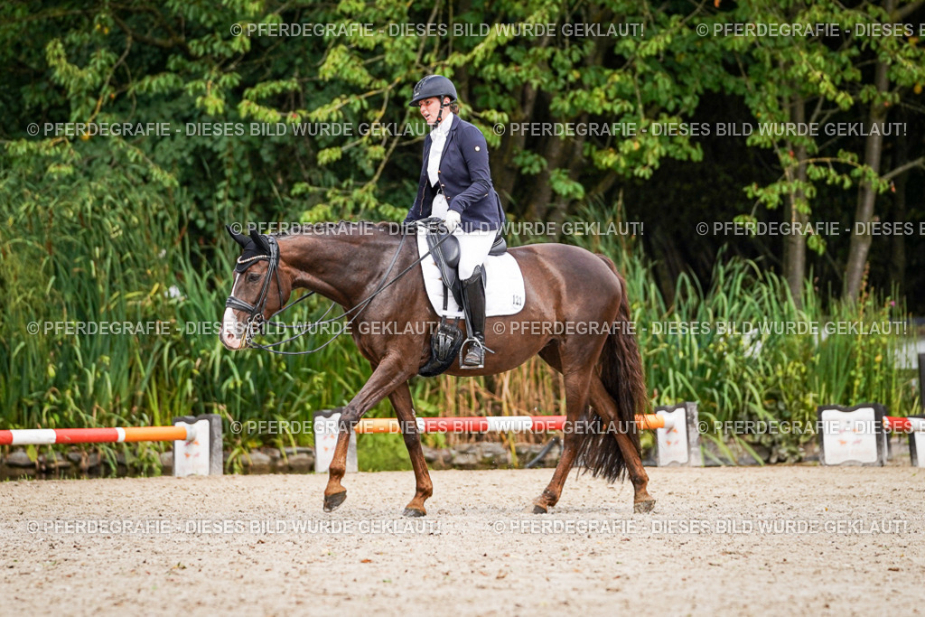 DSC04030 | Pferdegrafie