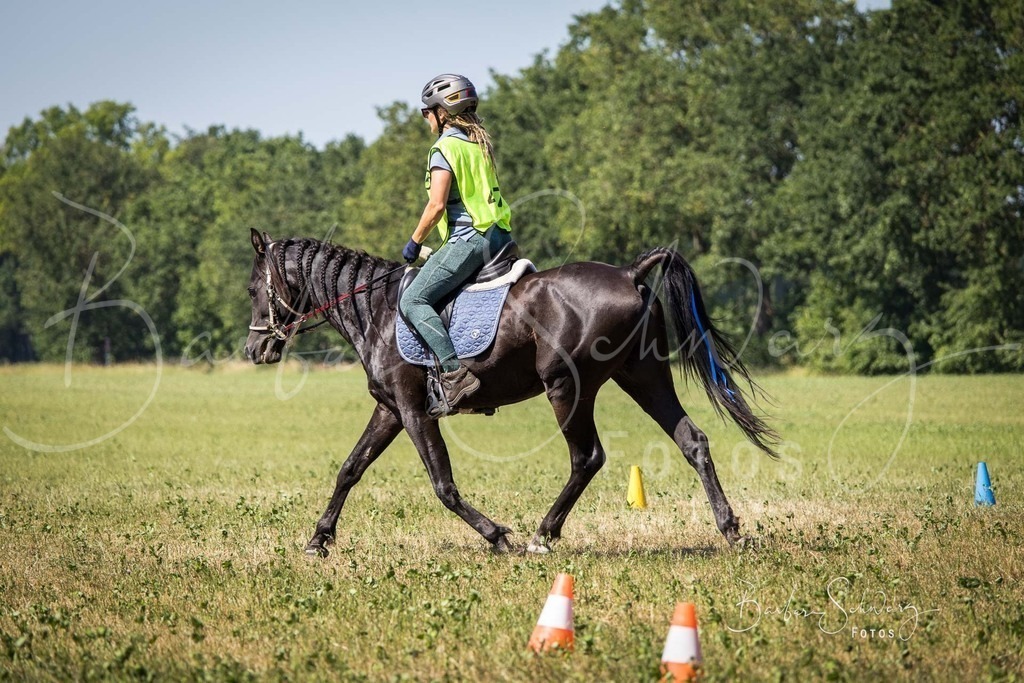 CJP_2026-06-26_153 | Stimmungsvolle Fotografie von Pferden, fotografische Begleitung von Veranstaltungen, Golfturnieren und Distanzritten - Realisiert mit Pictrs.com