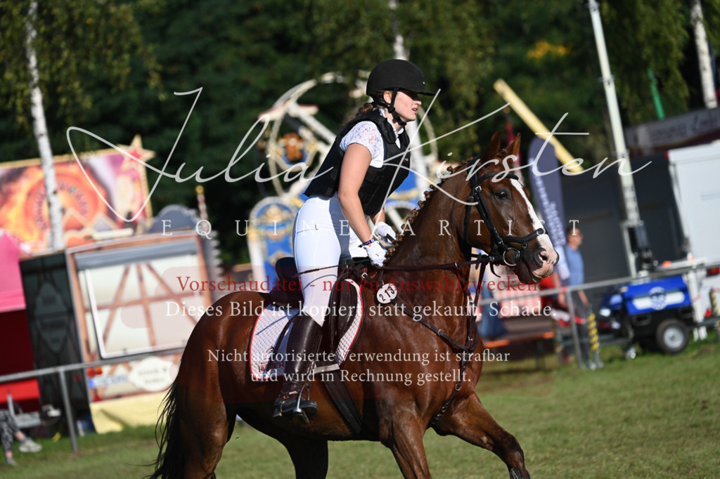 DSC_4712 | Pferde- und Turnierfotografie in Westsachsen. Pferdeportraits, Auftragszeichnungen und intuitive Kunst.