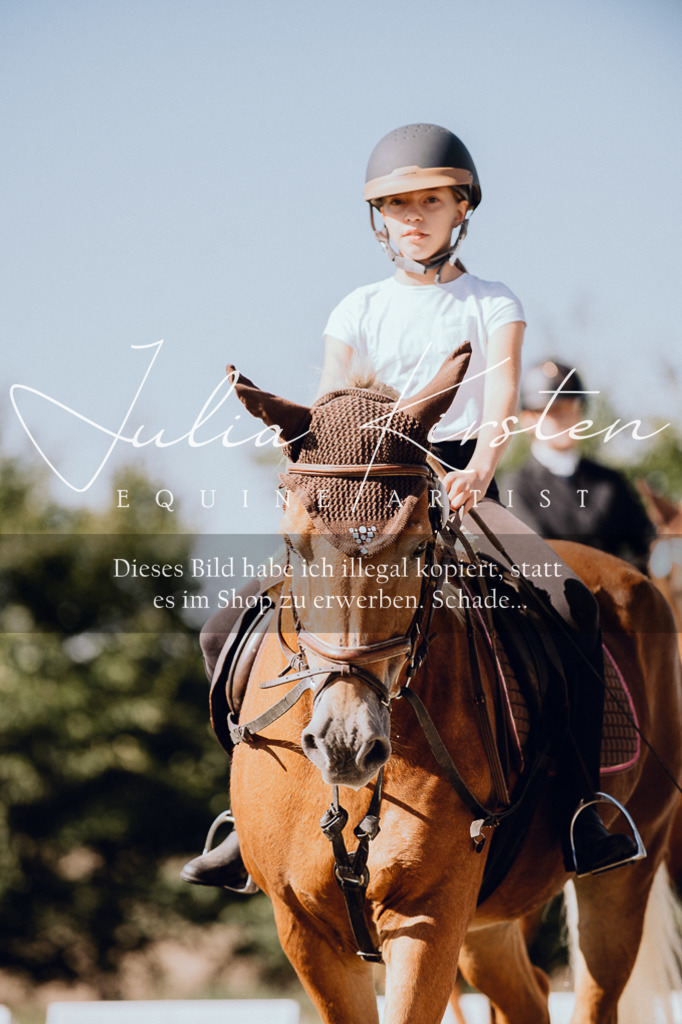 DSC_7269 | Pferde- und Turnierfotografie in Westsachsen. Pferdeportraits, Auftragszeichnungen und intuitive Kunst.