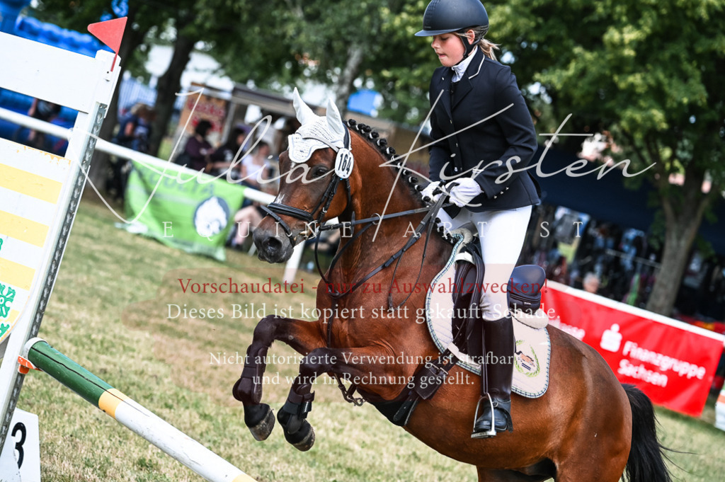 DSC_9790 | Pferde- und Turnierfotografie in Westsachsen. Pferdeportraits, Auftragszeichnungen und intuitive Kunst.