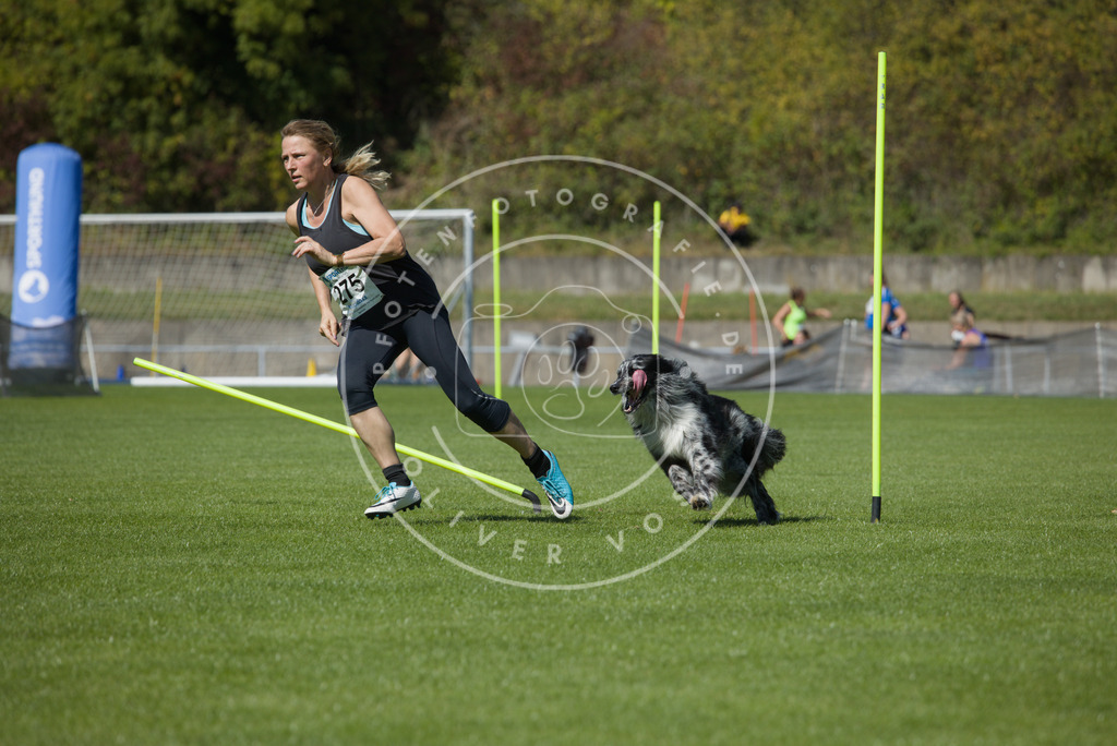 0L8A6727 | Hundefotografie, Tierfotograf, Pfotenfotografie, Fotoshooting Hund, Hunde Portrait, Hundesport, Hundeportraits, Heideshooting, Hunde, Sportfotograf, Hundefotograf, Turnierhundsport, THS,  - Realisiert mit Pictrs.com