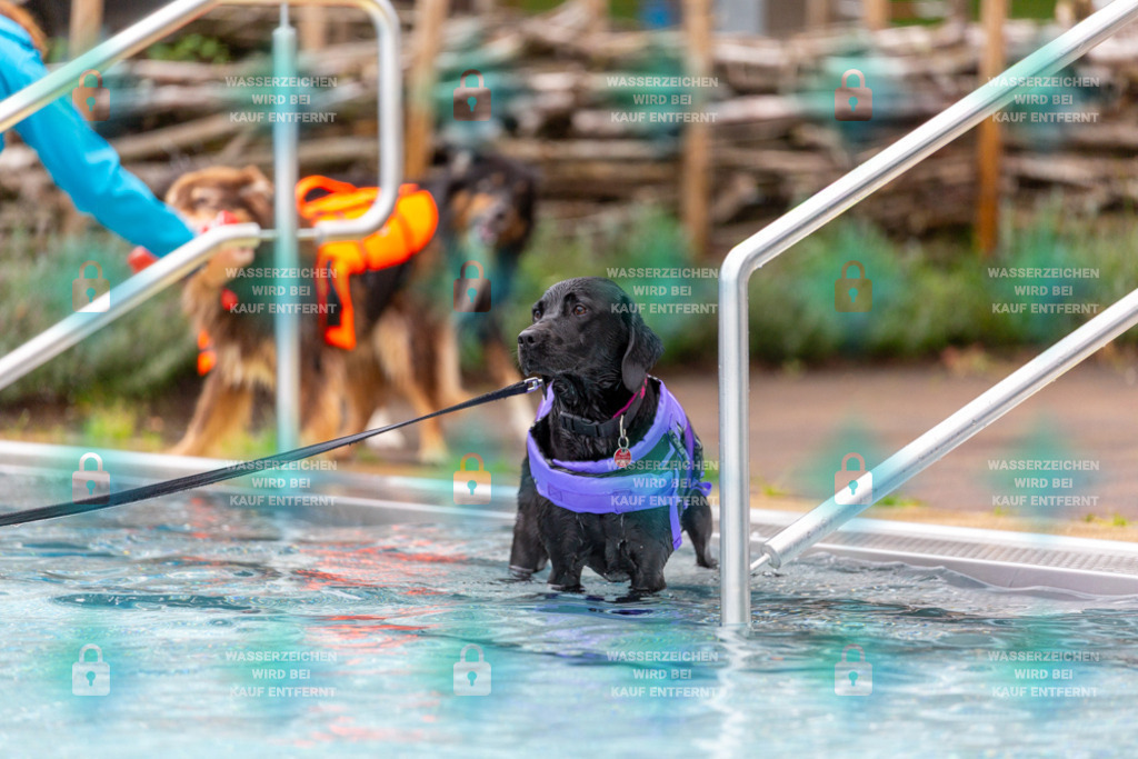 _HP_6274_1000o | HetPix, HetPix Fotodesign, Fotografie, Fotodesign, Webshop, Sportfotografie, Portraitfotografie, Onlineshop, Sportfotografie, Polch, Motorsportfotografie, Eventfotografie