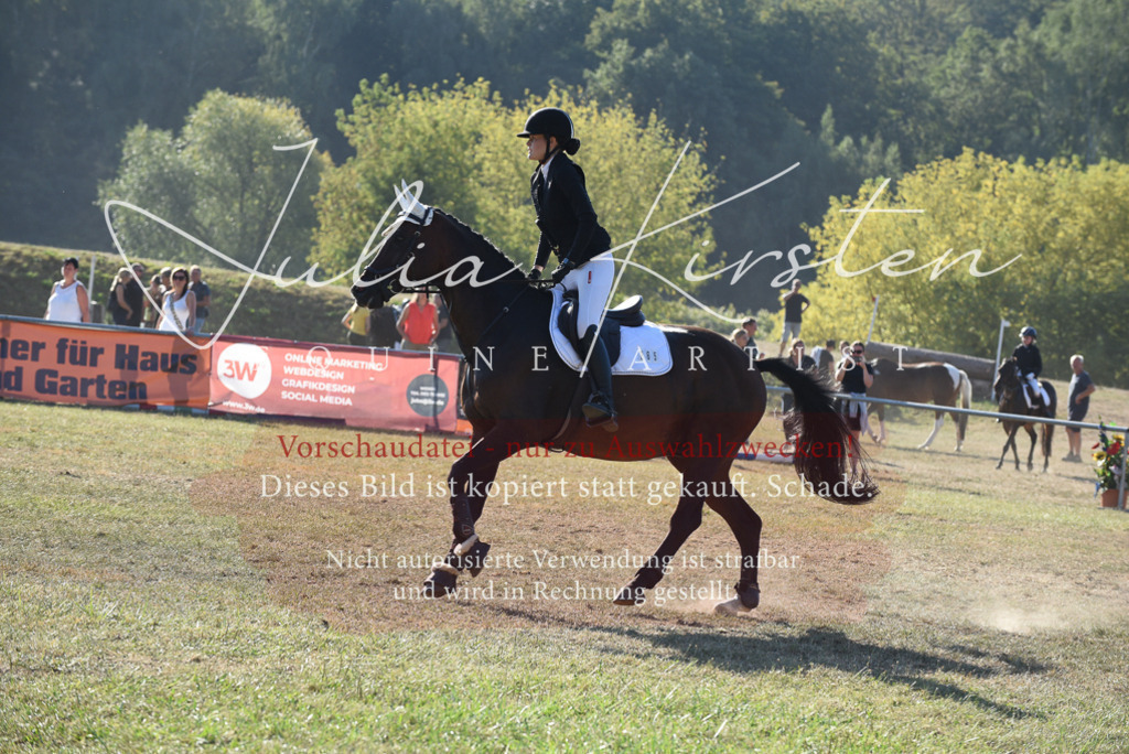DSC_5628 | Pferde- und Turnierfotografie in Westsachsen. Pferdeportraits, Auftragszeichnungen und intuitive Kunst.