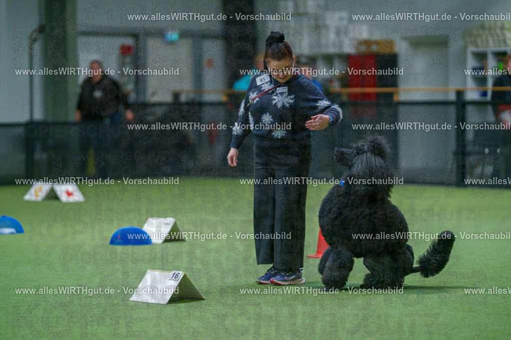 7R503455 | Professionelle Tierfotografie in Mönchengladbach von Daniel Wirth (allesWIRTHgut). Liebevolle & natürliche Bilder von Hunden & Katzen für unvergessliche Erinnerungen.