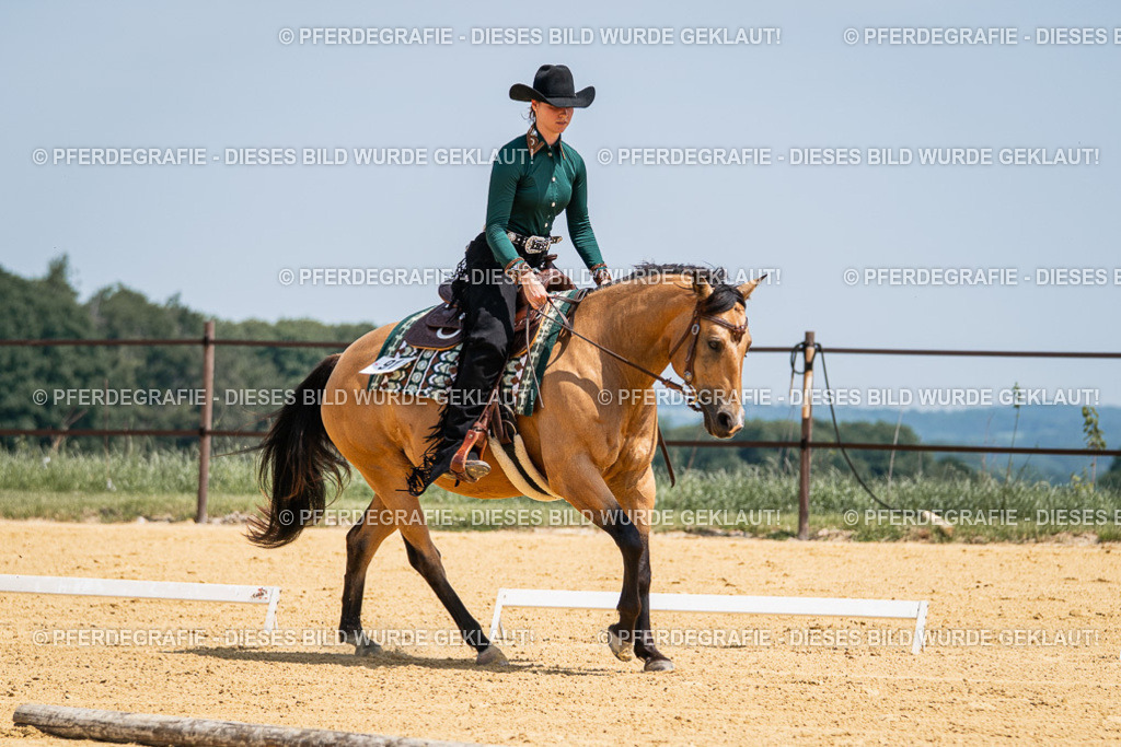 DSC01335 | Pferdegrafie