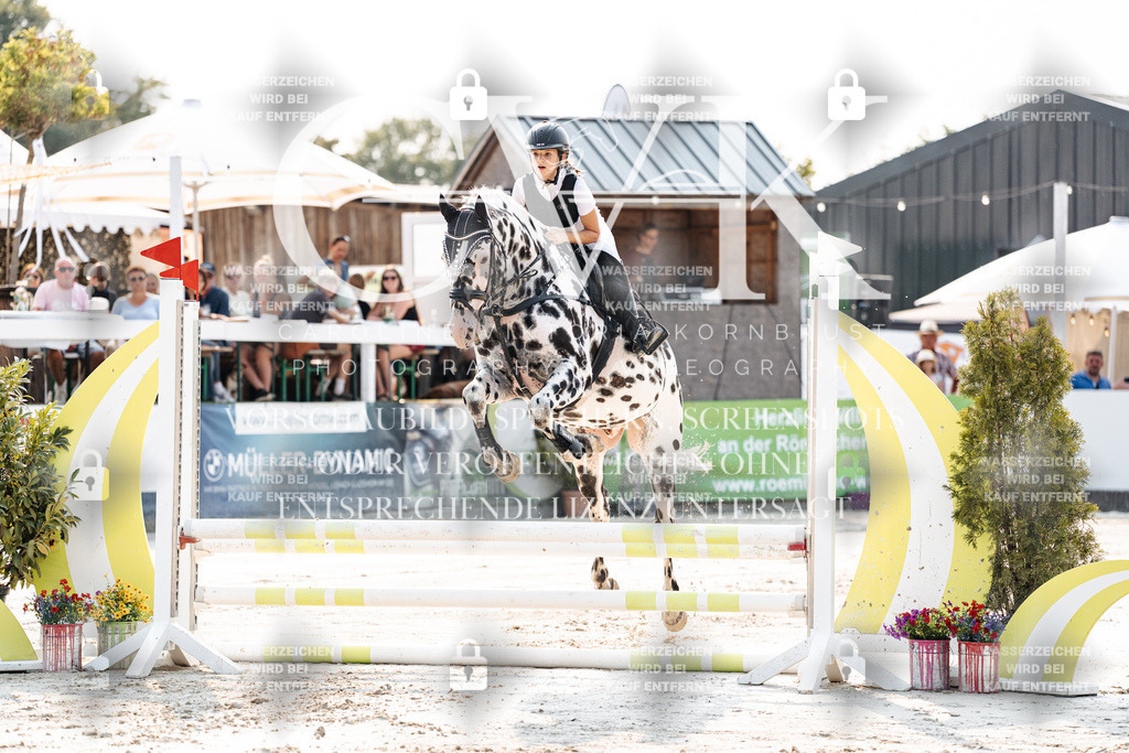 CK902815 | Turnierfotografie Pferdefotografie Trier Rheinland-Pfalz Pferdesport Reitsport Tierfotografie Sportfotografie Pferdevideo Pferdevideografie Equestrianvideography equestrianphotography  - Realisiert mit Pictrs.com