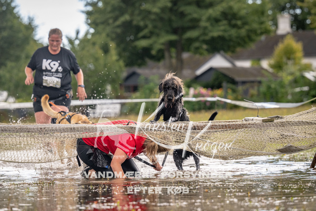 1351_ZZ90179 | kk-dogfotos