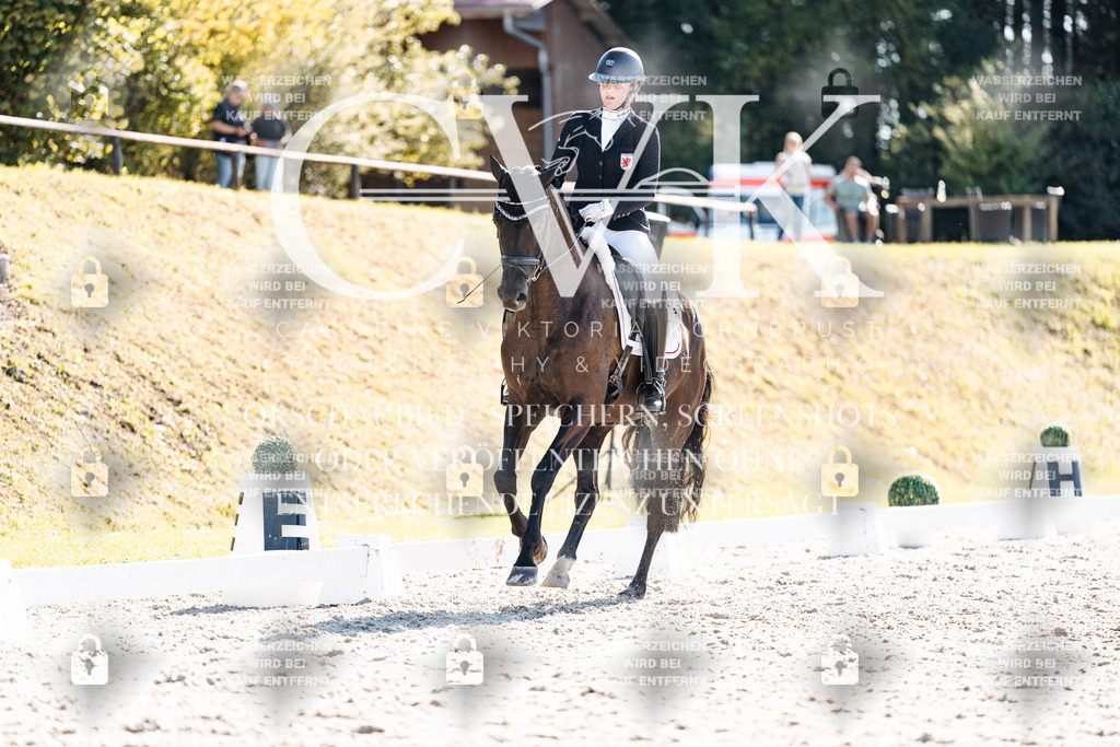 CK905619 | Turnierfotografie Pferdefotografie Trier Rheinland-Pfalz Pferdesport Reitsport Tierfotografie Sportfotografie Pferdevideo Pferdevideografie Equestrianvideography equestrianphotography  - Realisiert mit Pictrs.com