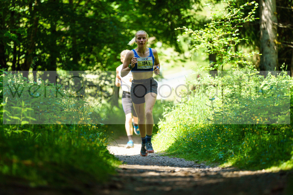 25. Rennsteig-Staffellauf | 170 km Hörschel - Blankenstein