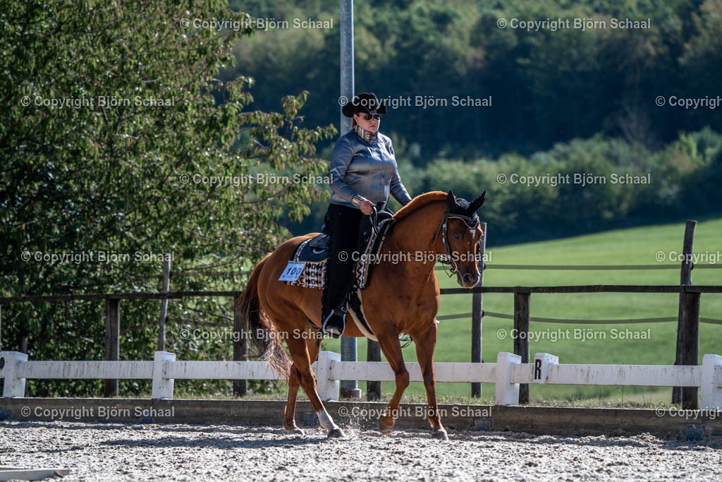 HOB00584 | BS-foto
