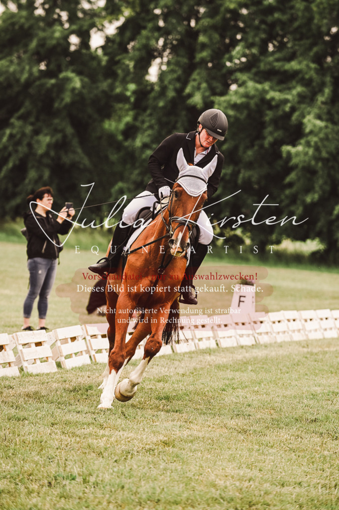 DSC_5091 | Pferde- und Turnierfotografie in Westsachsen. Pferdeportraits, Auftragszeichnungen und intuitive Kunst.