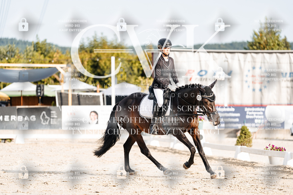 CK903808 | Turnierfotografie Pferdefotografie Trier Rheinland-Pfalz Pferdesport Reitsport Tierfotografie Sportfotografie Pferdevideo Pferdevideografie Equestrianvideography equestrianphotography  - Realisiert mit Pictrs.com