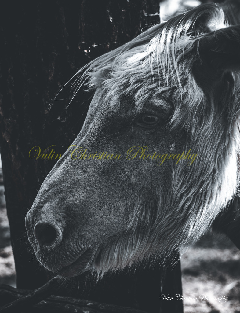 PH 24 | Christian Vulin  - Realisiert mit Pictrs.com