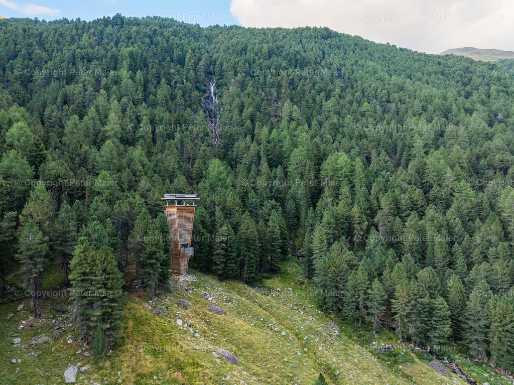 Wildtierbeobachtung_Oberhaus_Erlebnisraum_Wald_23_Peter_Maier-204 | default