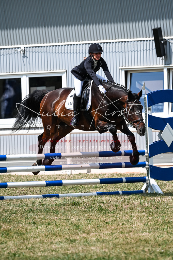 DSC_8888 | Pferde- und Turnierfotografie in Westsachsen. Pferdeportraits, Auftragszeichnungen und intuitive Kunst.