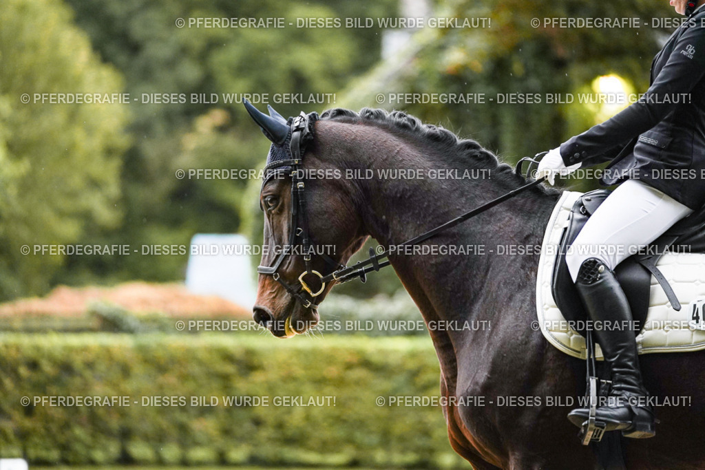 DSC06330 | Pferdegrafie