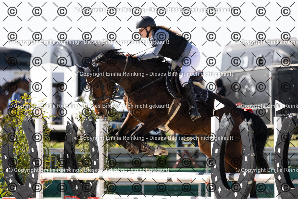 CL5A5812-3 | Emilia Reinking Fotografie - Realisiert mit Pictrs.com