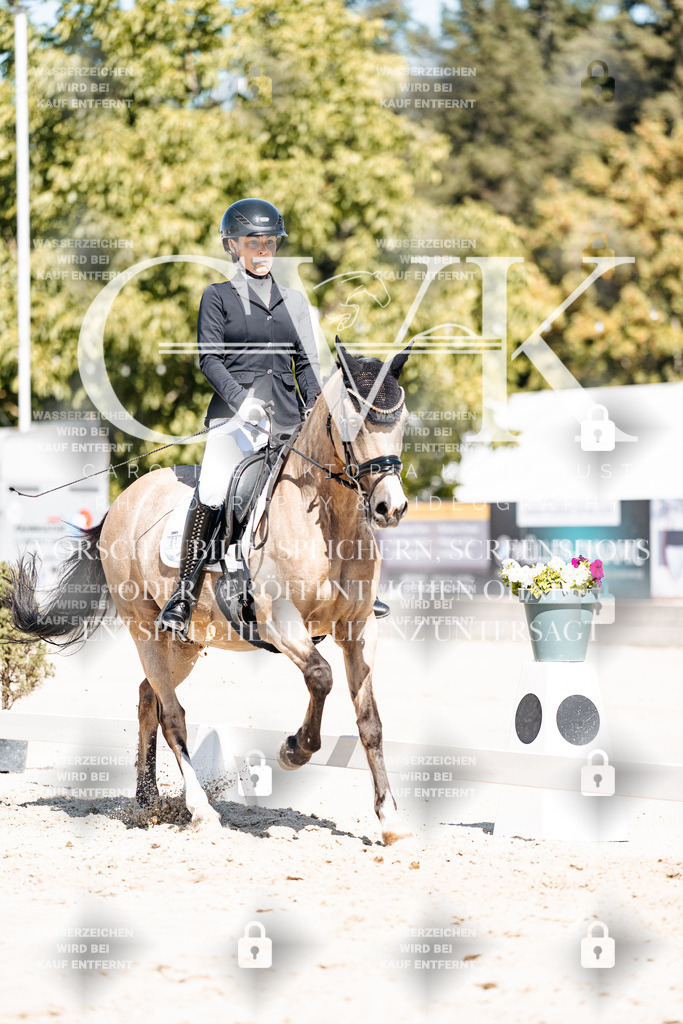 CK909939 | Turnierfotografie Pferdefotografie Trier Rheinland-Pfalz Pferdesport Reitsport Tierfotografie Sportfotografie Pferdevideo Pferdevideografie Equestrianvideography equestrianphotography  - Realisiert mit Pictrs.com
