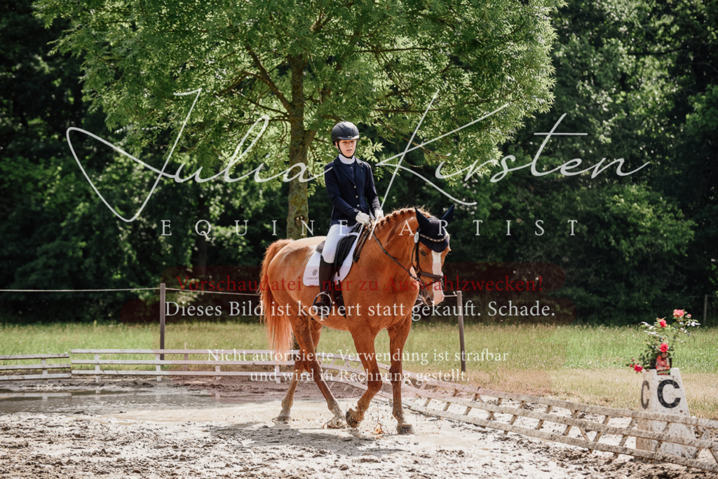 DSC_0008 | Pferde- und Turnierfotografie in Westsachsen. Pferdeportraits, Auftragszeichnungen und intuitive Kunst.