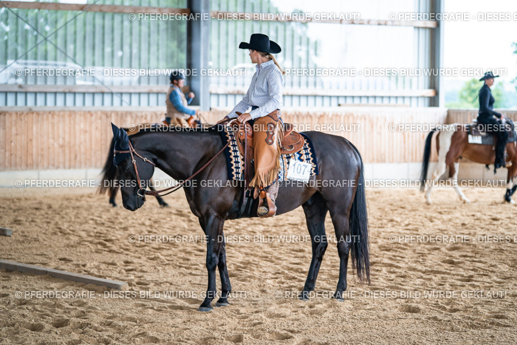 DSC08263 | Pferdegrafie