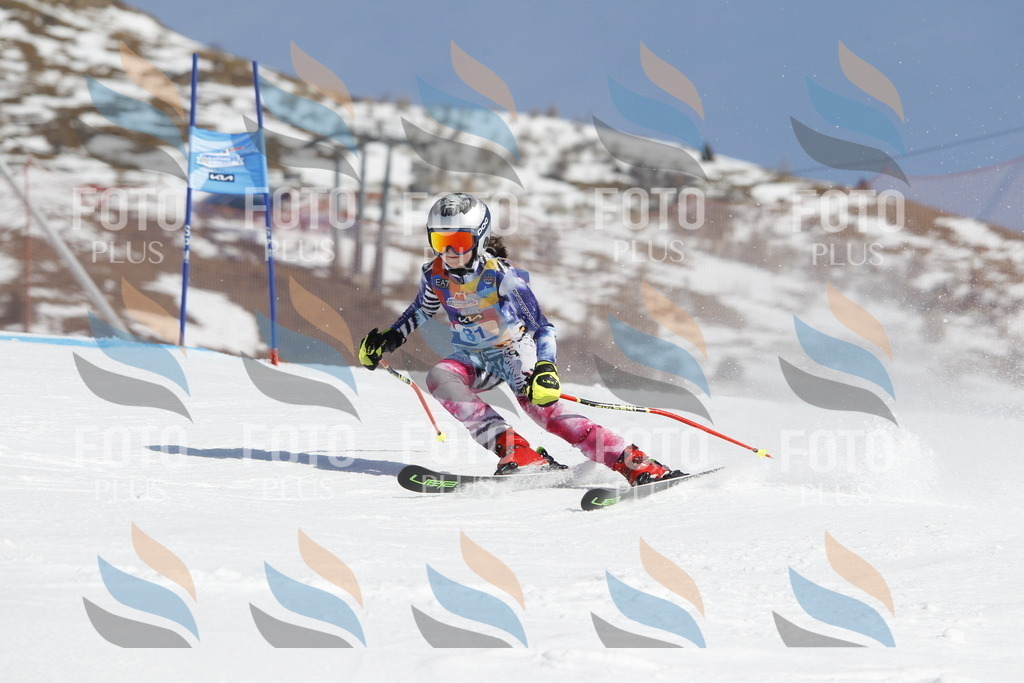 _U3G0014 | holidayphoto