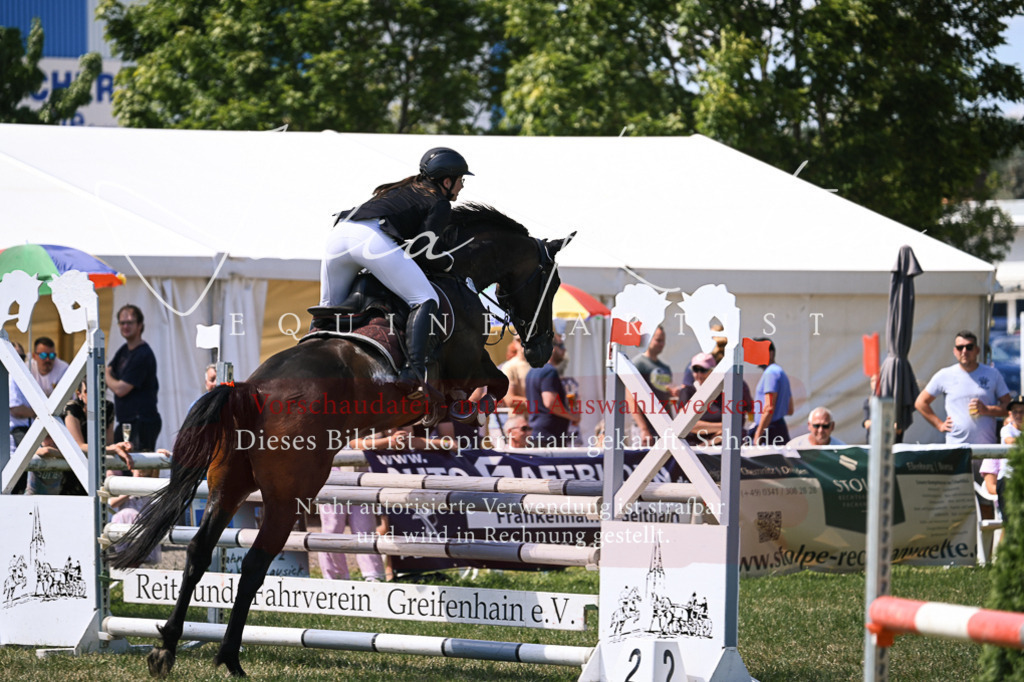 DSC_0211 | Pferde- und Turnierfotografie in Westsachsen. Pferdeportraits, Auftragszeichnungen und intuitive Kunst.