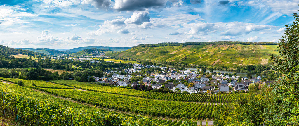Andel im Sommer | Vom Bernkasteler Schloßberg aus mit Blickrichtung nach Lieser / Mülheim / Brauneberg