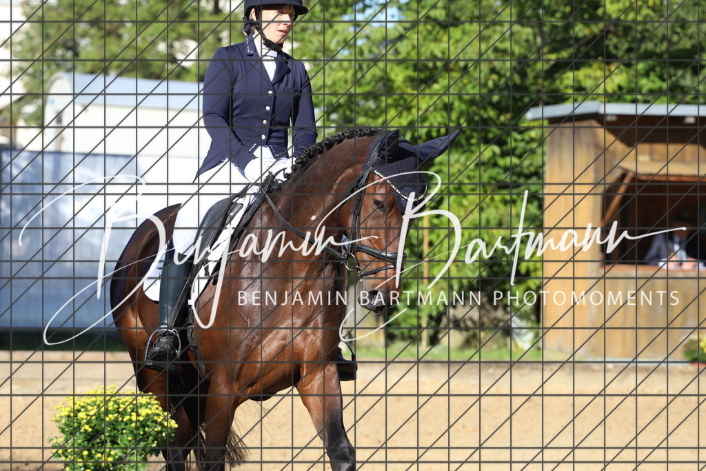 IMG_5021 | Benjamin Bartmann Photomoments