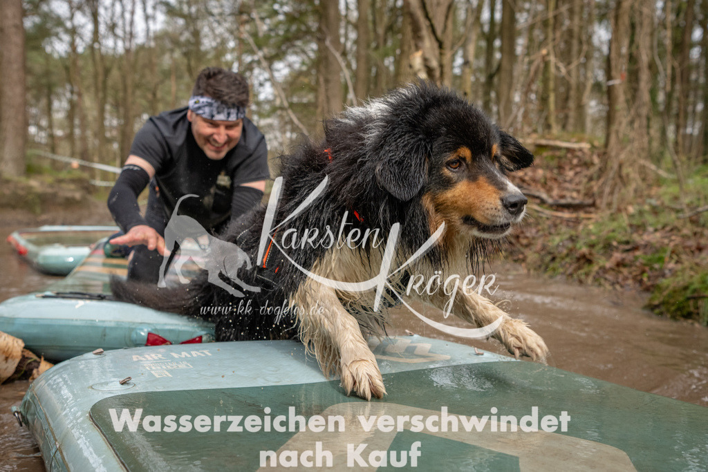 1032_ZZ93935 | kk-dogfotos
