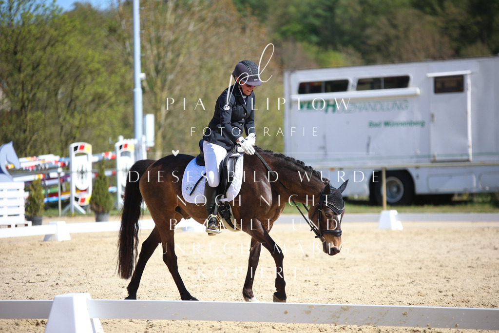 IMGT2336 | pl-fotografie