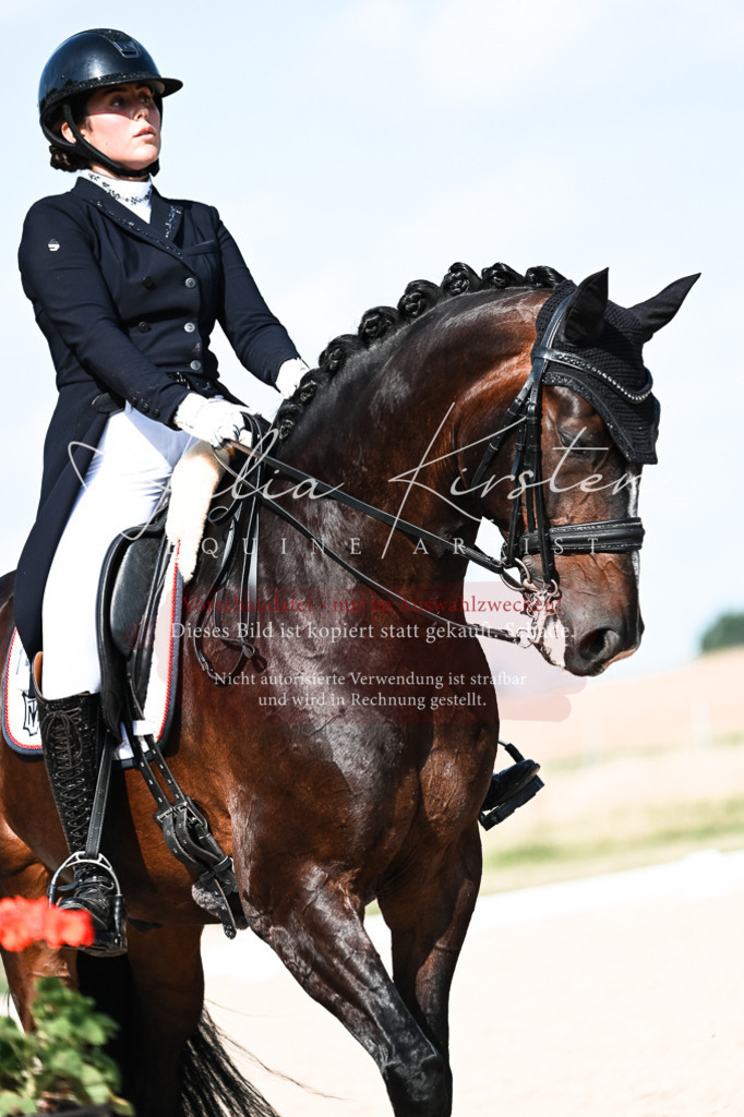 DSC_3365 | Pferde- und Turnierfotografie in Westsachsen. Pferdeportraits, Auftragszeichnungen und intuitive Kunst.