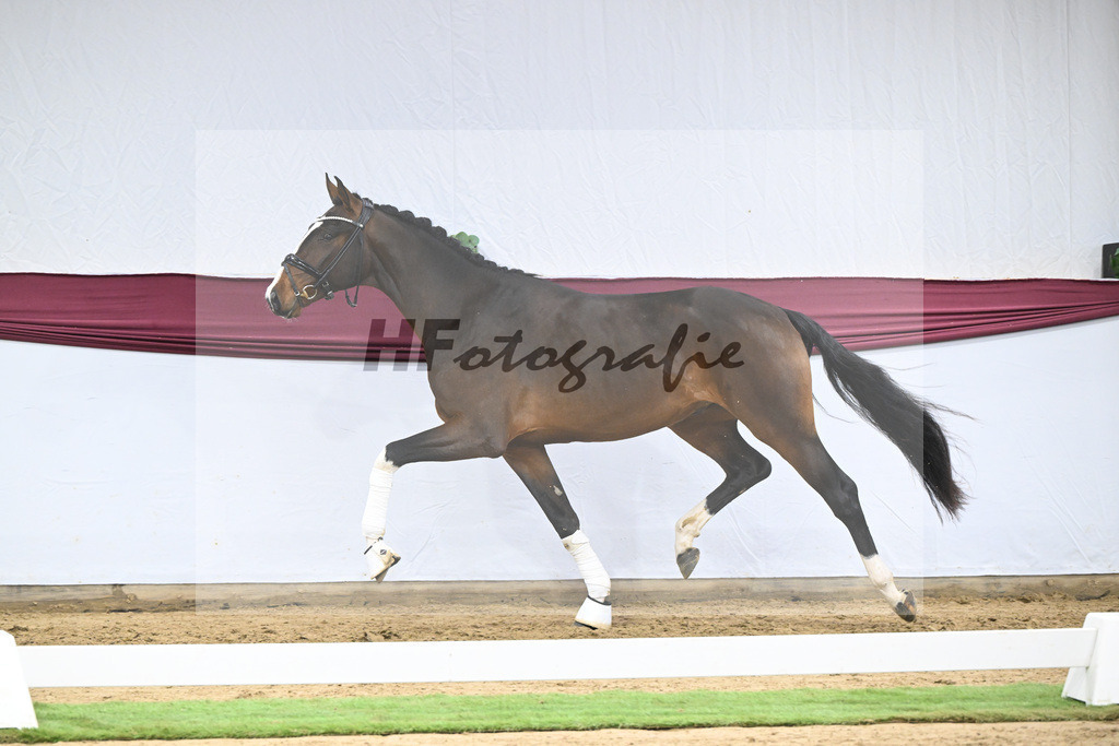 Kat-Nr. 124 Global Player x Floriscount_Christian Wittlinger_47254148 | hf-fotografie - Realisiert mit Pictrs.com