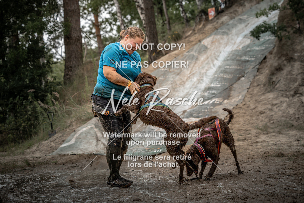 nelerasche_sa1530-1600_286 | nelerasche