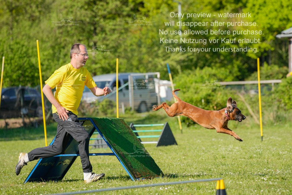 Sa_CSC-347 | stephaniefillaphotographie - Realisiert mit Pictrs.com